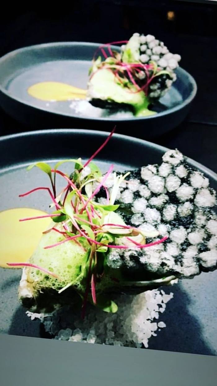 Emplatado de mar con microvegetales y crujiente — Chef Franko